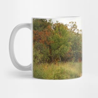 Nature Path No.2 Mug